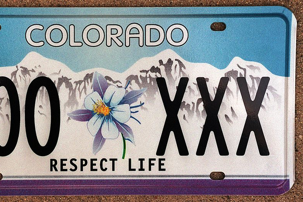 A Guide to Specialty License Plates image