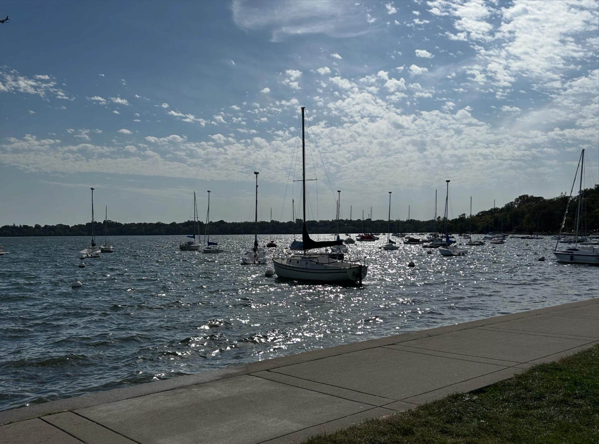 A view from the shore. On the water there are a group of sailboats with their sails down. It's a bright and sunny day
