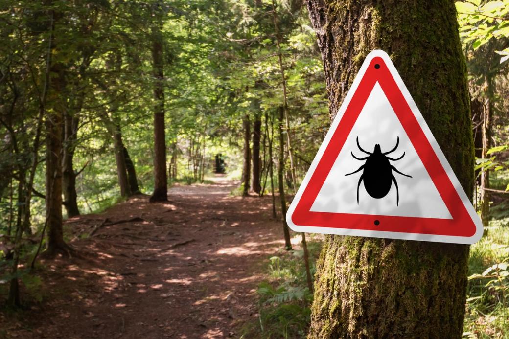 A tick warning sign in the woods. (24K-Production / Getty)