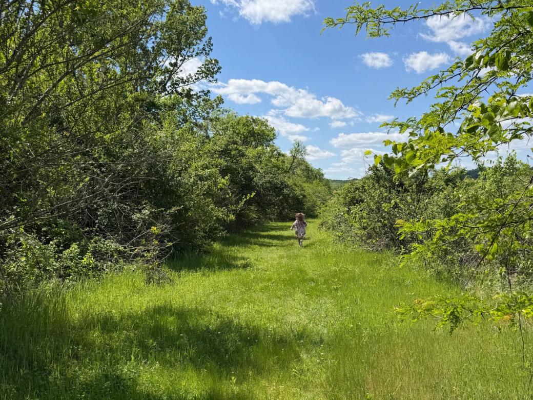 A child running through a grassy trail, surrounded by shrubs and trees. The sky is bright blue with white clouds.