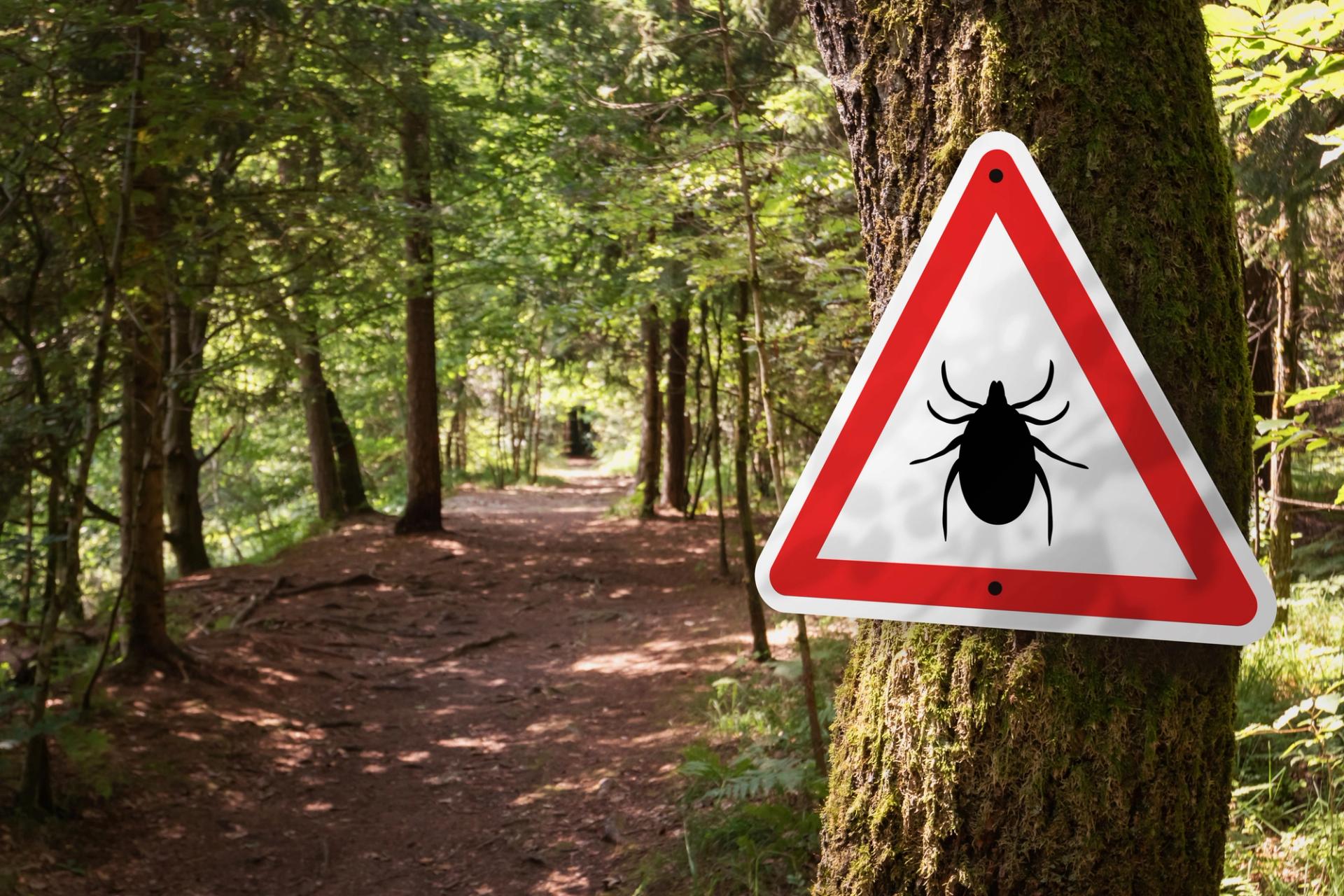 A tick warning sign in the woods.