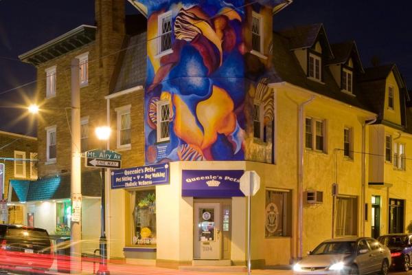 Your Guide to Mt. Airy, Philadelphia image