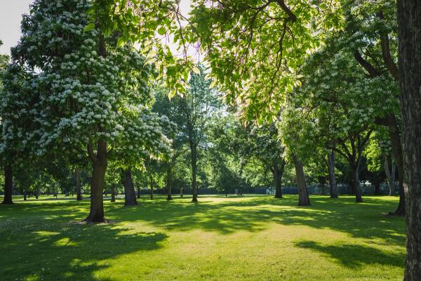 Ranking Boise’s Best Parks for Adults image