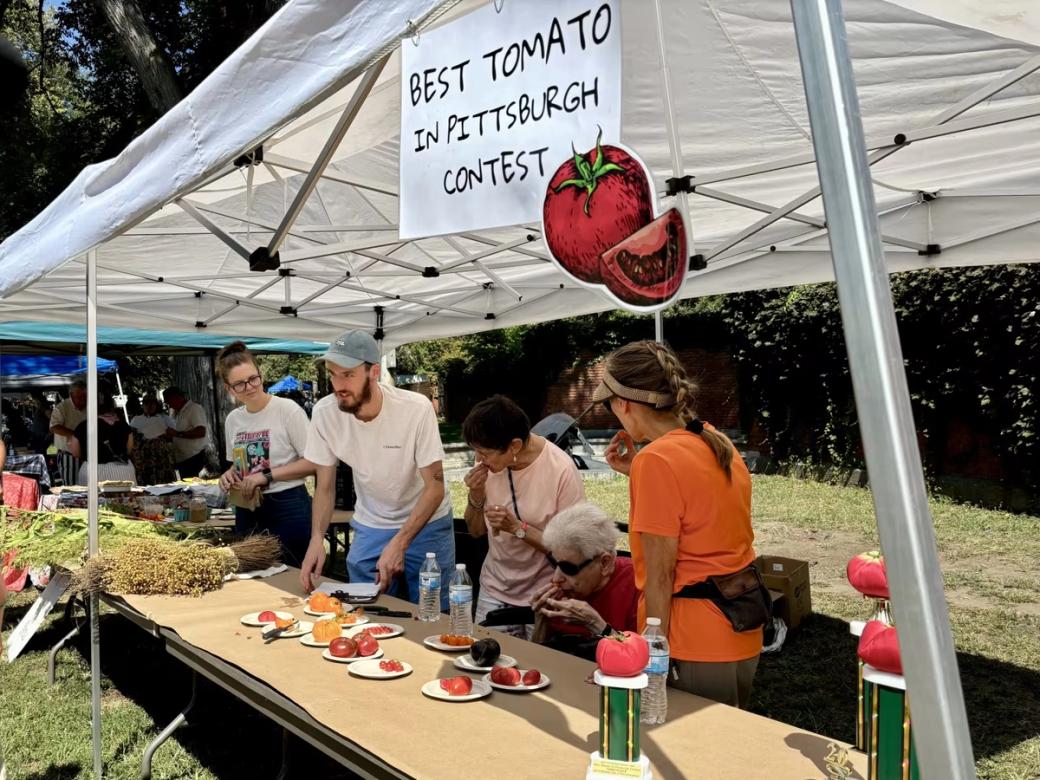 Whole and sliced tomatoes sit on plates, ready for tasting below a sign that reads, “Best Tomato in Pittsburgh Contest”.