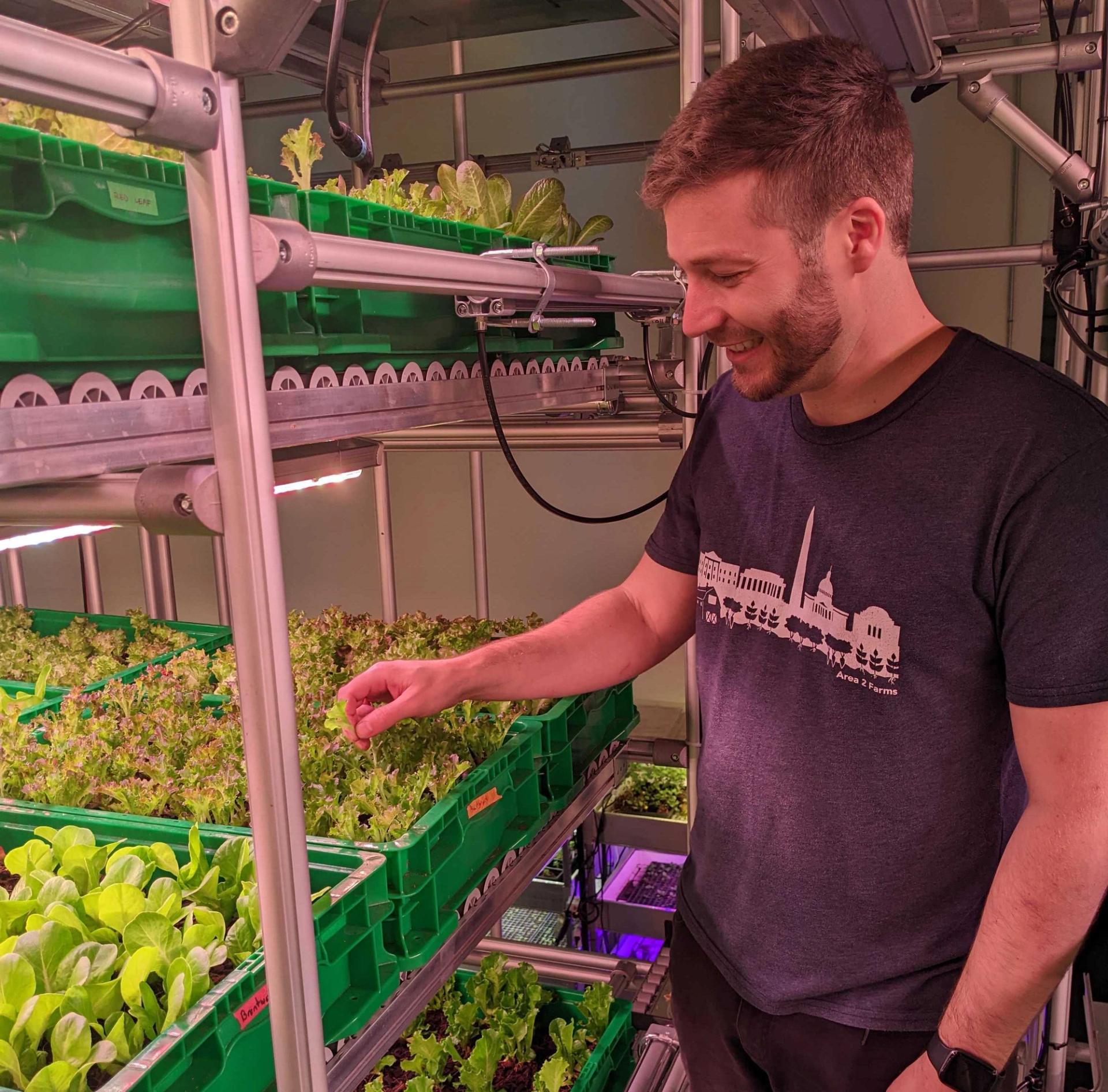 Tyler Baras picking some lettuce at Area 2 Farms. (Priyanka Tilve, City Cast DC)