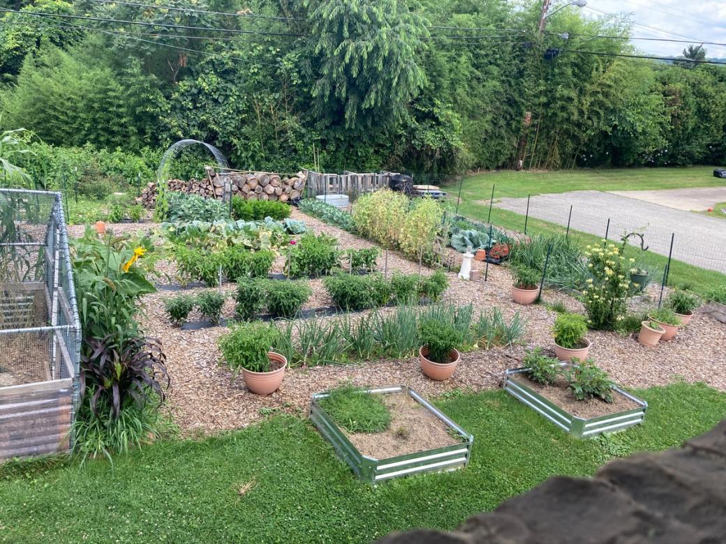 A well-organized garden, complete with rows of plants and raised beds of both flowers and vegetables.