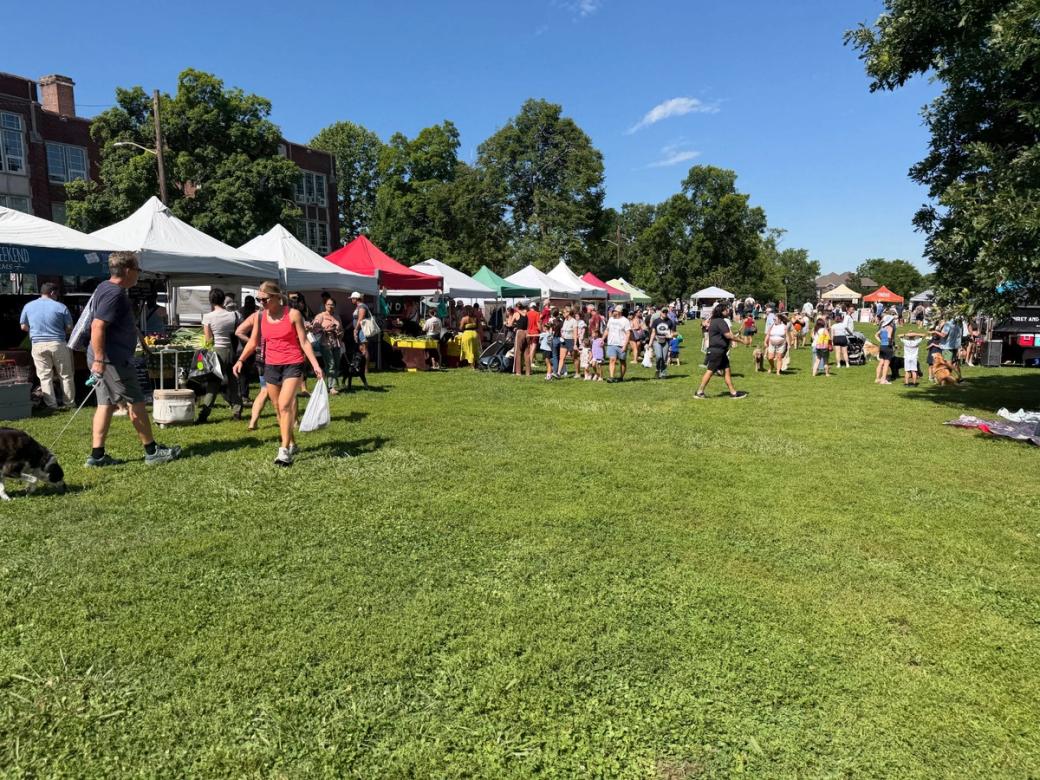 People line up at multicolored farmers market tents in a grassy field surrounded by trees.