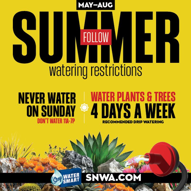 City Cast Southern Nevada Water Authority ad