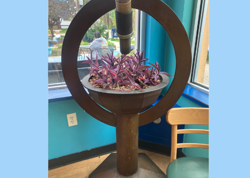 A telescope focused on a pot of purple plants.