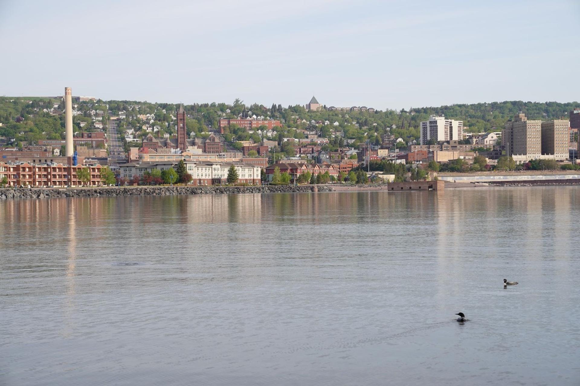 A shot of a lake. There are some ducks. On the opposite end there are buildings and a city
