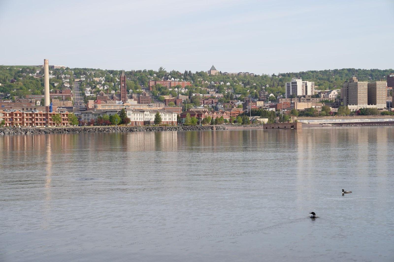 A shot of a lake. There are some ducks. On the opposite end there are buildings and a city
