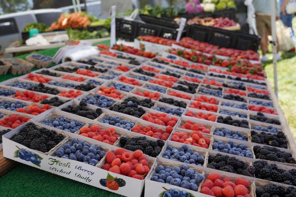 Boxes of blueberries, raspberries, and blackberries on a table