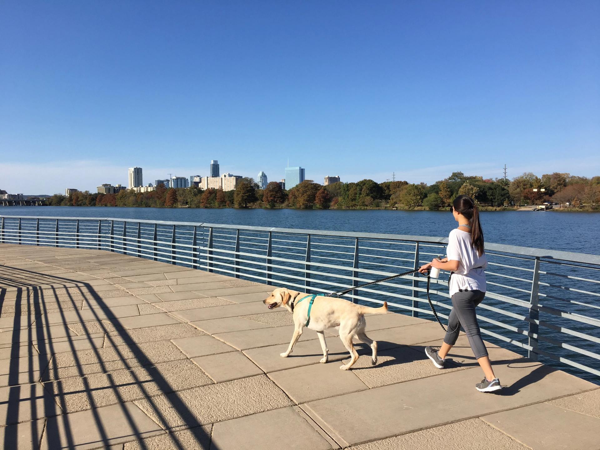 A woman walking a dog on a paved trail along a river. A skyline of buildings in the background