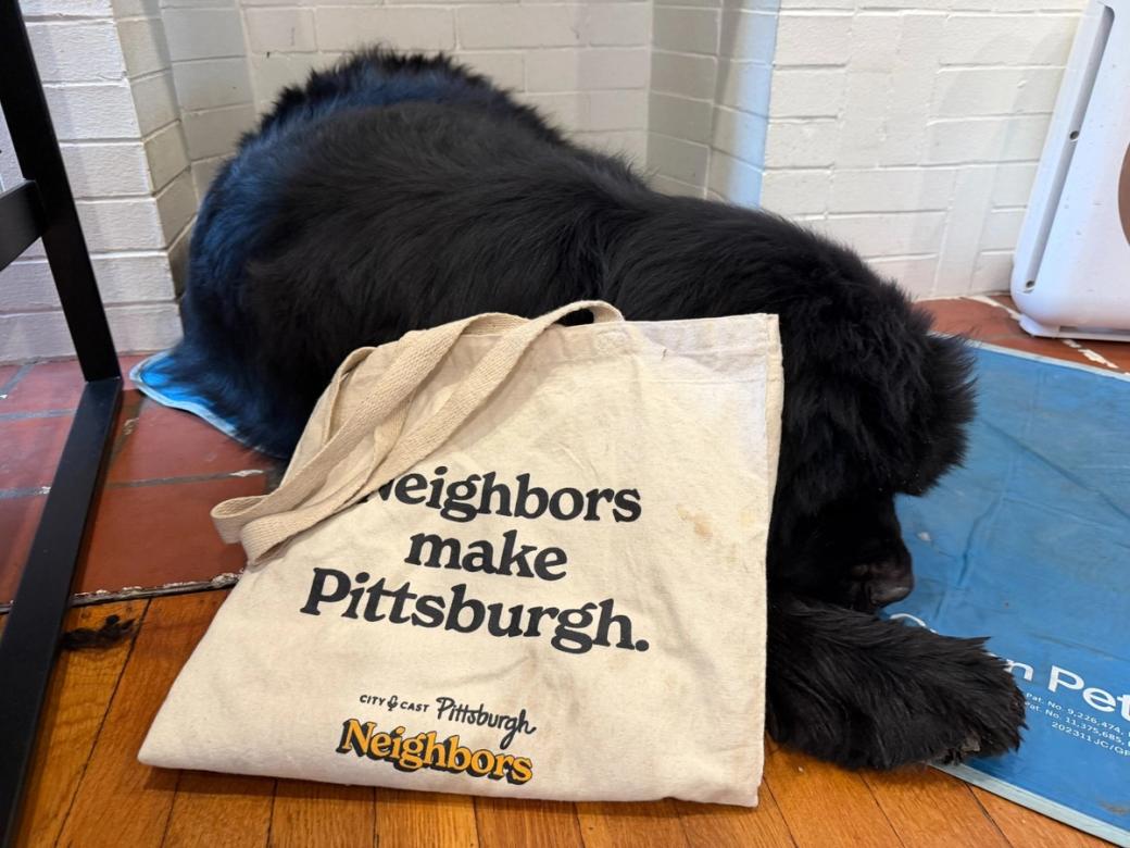 A City Cast Pittsburgh tote bag leans on a beautiful black dog.