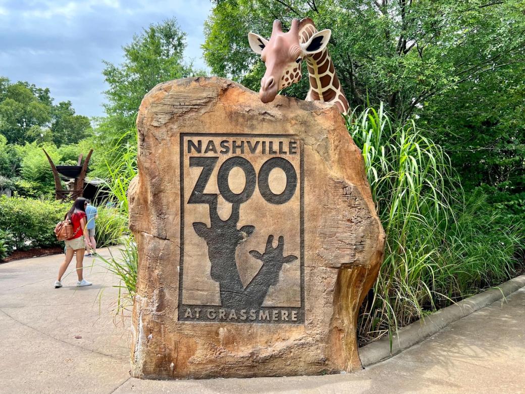 A large stone with the Nashville Zoo's logo engraved on it: Two giraffes, and the text Nashville Zoo at Grassmere. It's outside surrounded by greenery, with a giraffe statue peering over it.