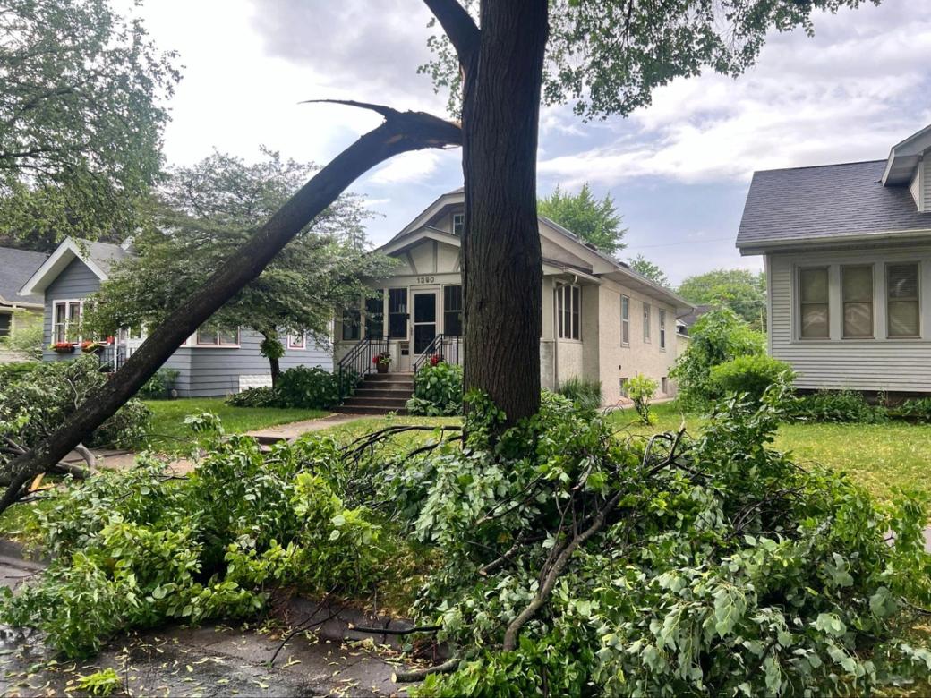 A tree in the foreground with fallen small branches at its base, and a larger limb barely hanging on. Several houses with lawns are in the background.