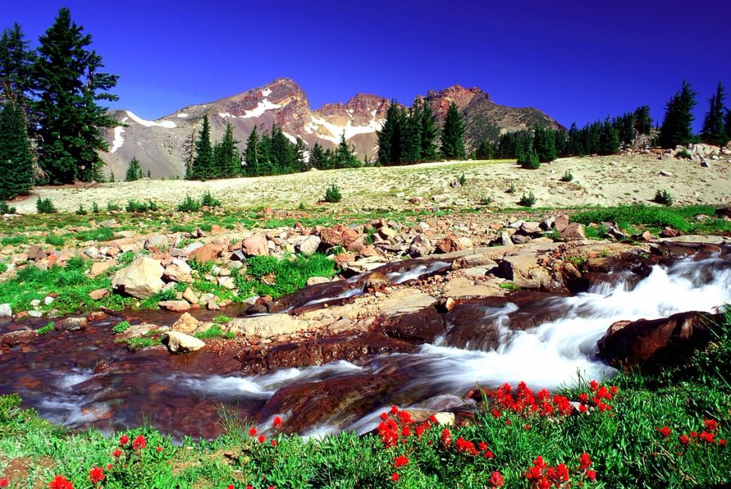 rocky mountain peaks in the background, red flowers and stream in the foreground