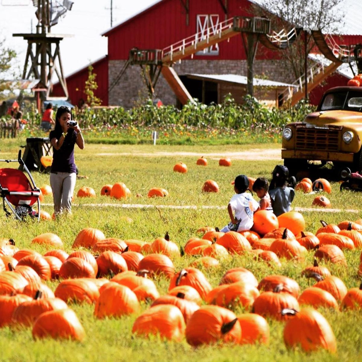 Celebrate Fall At Dewberry Farm City Cast Houston