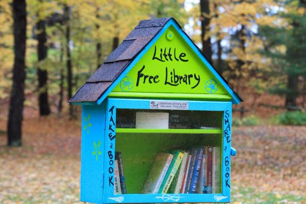 Give the Gift of Reading: Free Books in Denver image