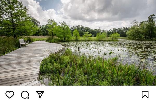 Explore the Houston Arboretum this Spring image