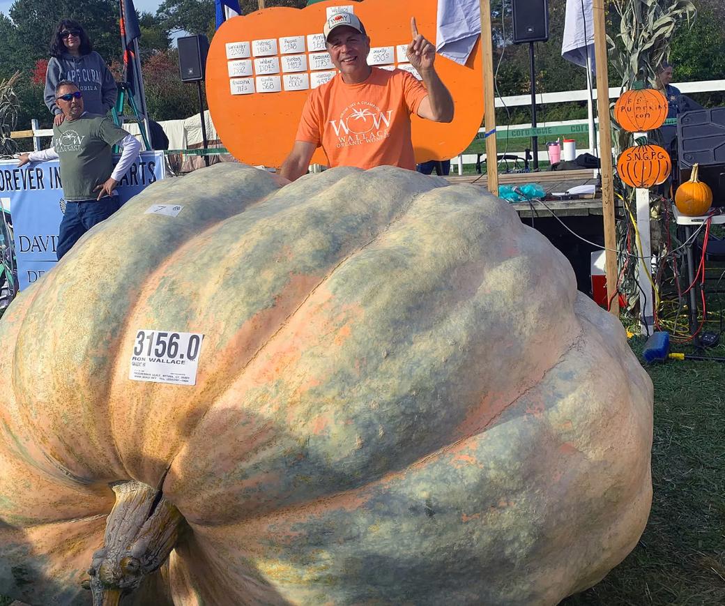 A man in an orange shirt and baseball cap stands behind a massive, pale orange and green pumpkin weighing 3,156 pounds, holding up one finger at an outdoor pumpkin festival.