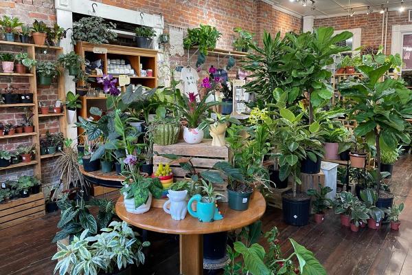 Pittsburgh’s Best Plant and Garden Shops image