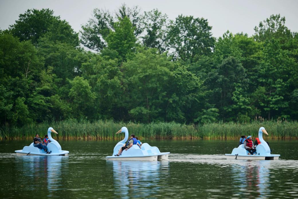 Blue heron paddle boats