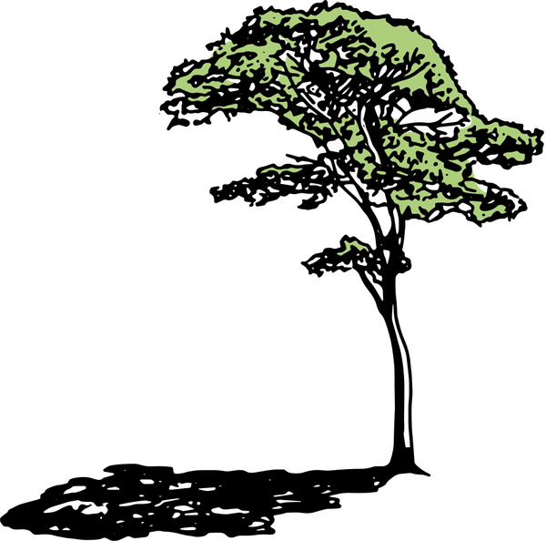 This Swing District Is the Most Expensive in Boise City Cast Boise