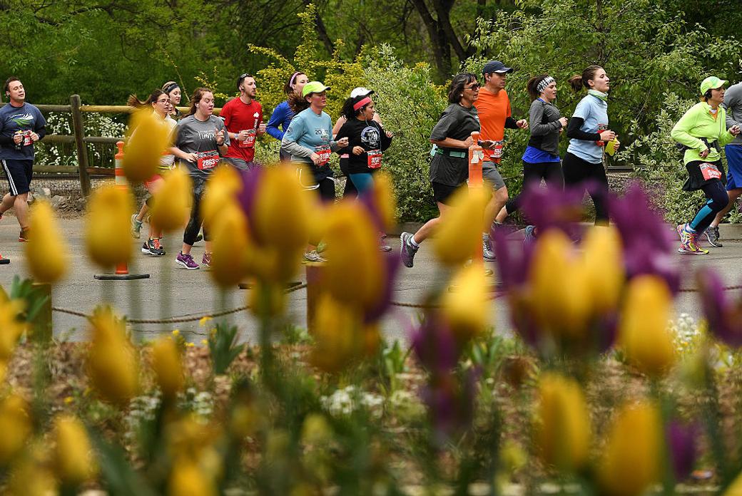 Runners compete in a road race with flowers in the foreground