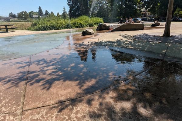 Ways to Keep Cool in Portland in This Heatwave image