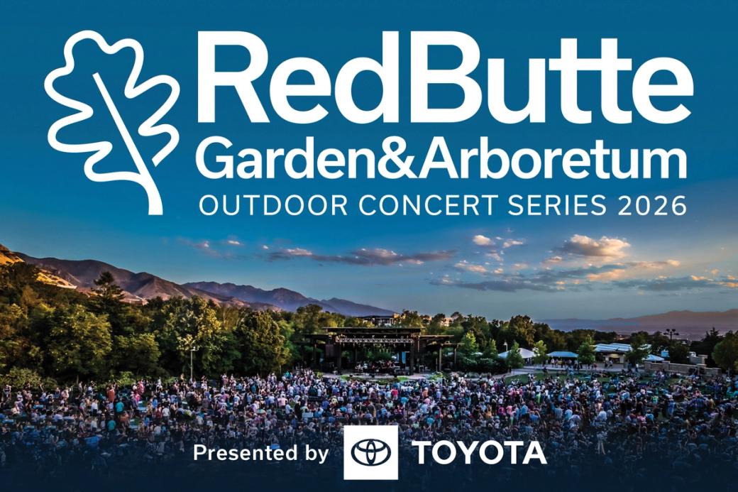 City Cast newsletter ad image