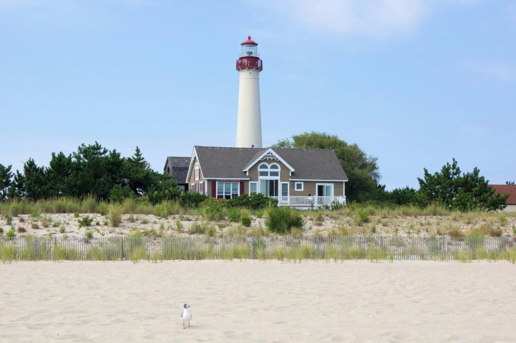Lighthouse on the beach and a seagull in the sand