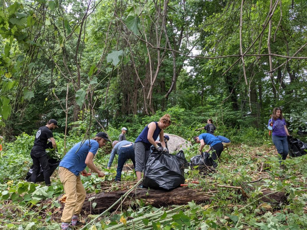 Volunteers clean up a park