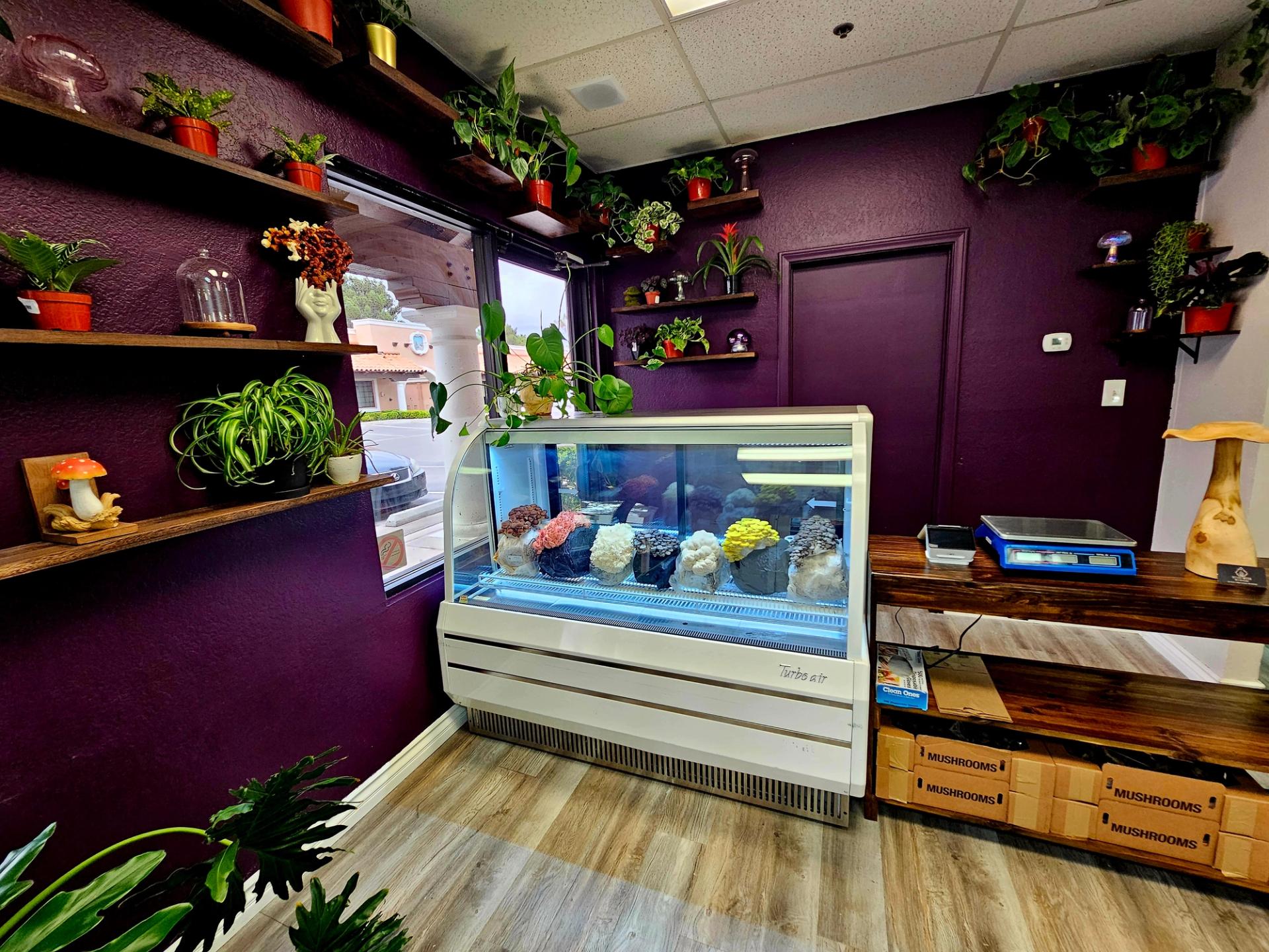 Storefront at Desert Moon Mushrooms