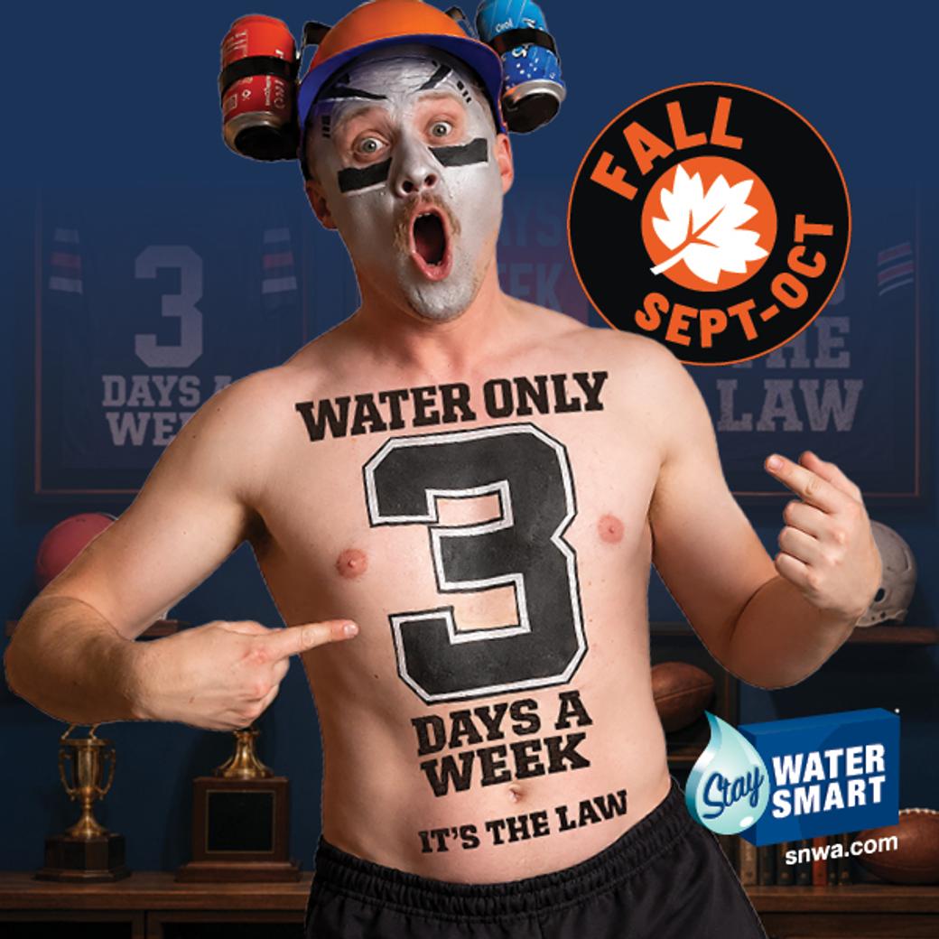 Football fan with "Water Only 3 days a week - It's the law" written on his chest. 