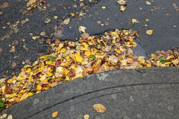 Help Your Neighbor  Adopt The Closest Storm Drain image