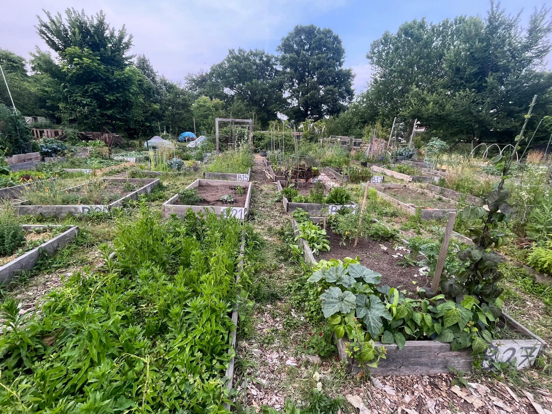 Wangari Gardens in Parkview.