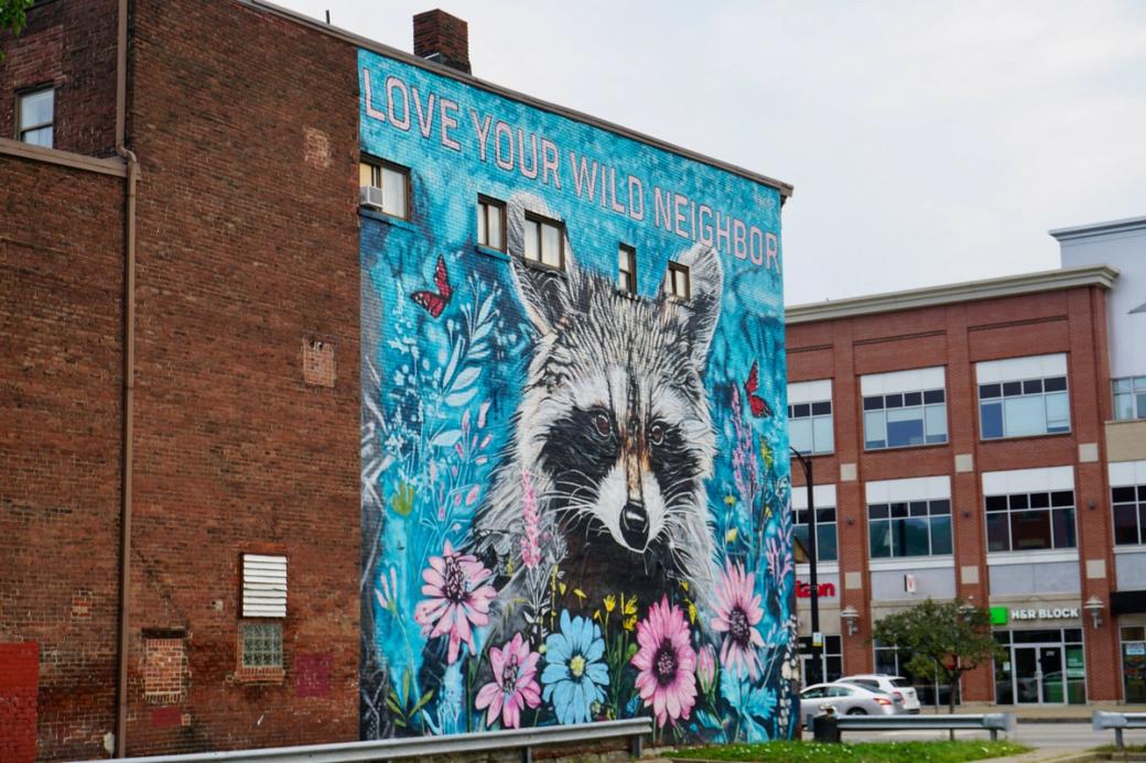 mural of a racoon with flowers and butterflies that says "love your wild neighbor"