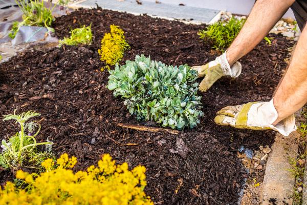 How to Get Free Mulch for Your Pittsburgh Garden image