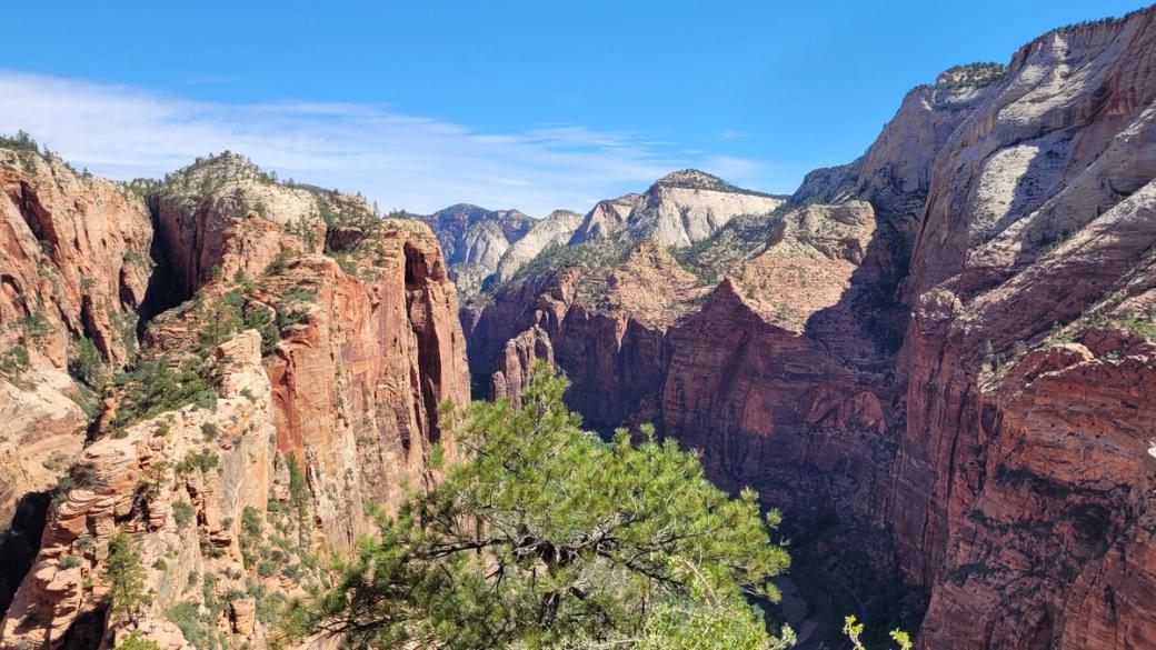 A view of a canyon in Zion National Park on a sunny day.