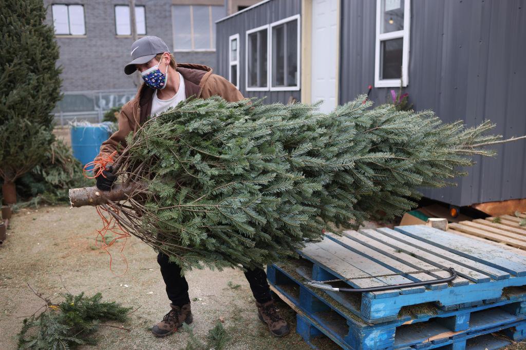 A worker preps a Christmas tree at a seasonal lot in Chicago in 2020