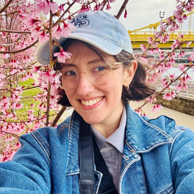 Historic Snowstorms and Winter Weather in Pittsburgh Pennsylvania ...