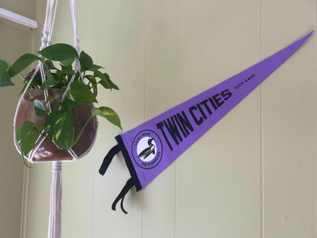 Purple pennant hung on wall next to pothos potted plant hanging in macrame hanger