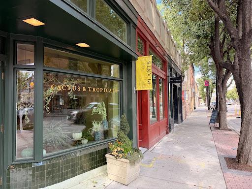 Business storefronts along Midvale’s Main Street include Cactus & Tropicals and The Bambino.