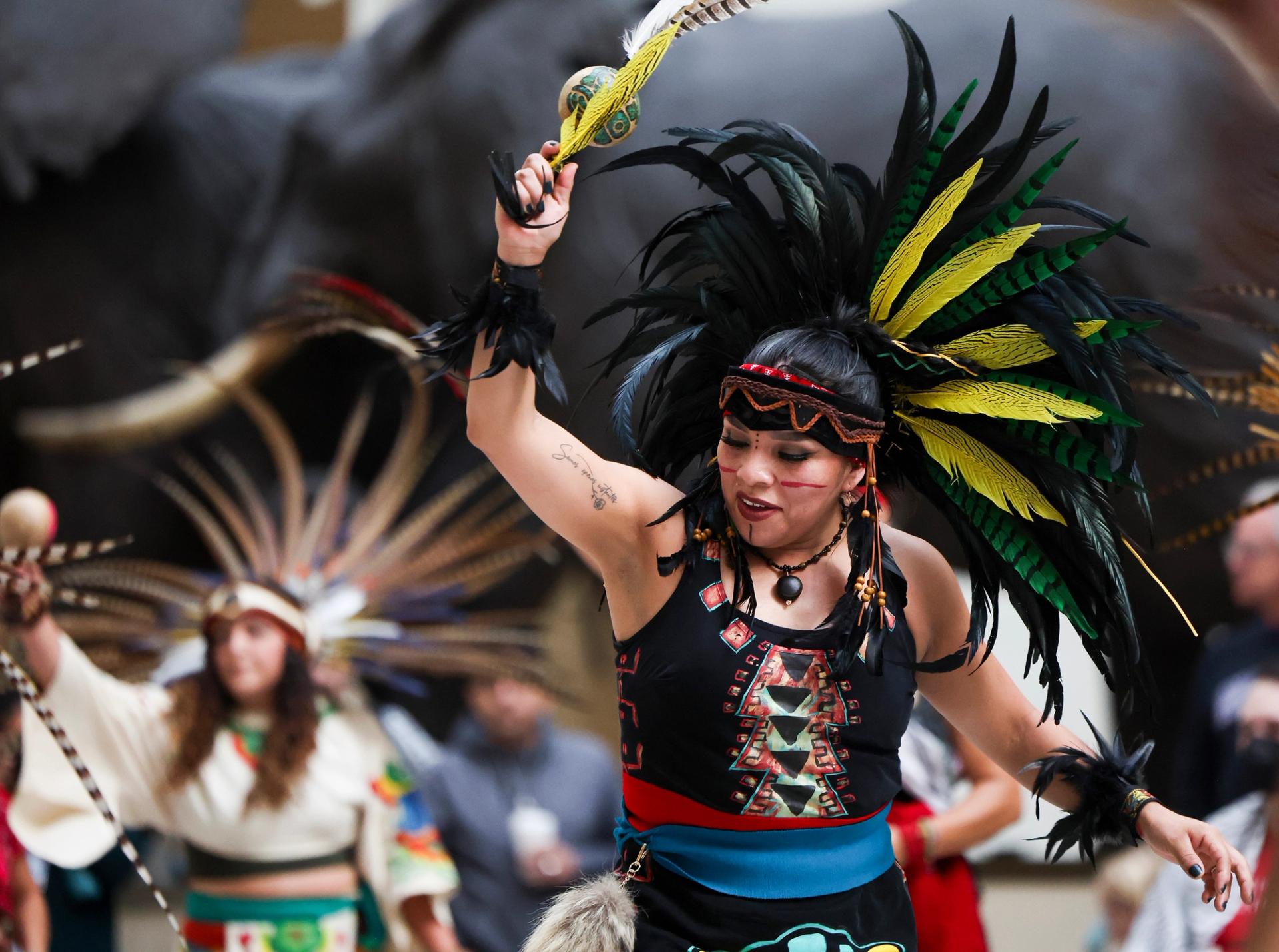 A native dancer wearing a large black, green and yellow feathered headdress and colorful traditional clothing performs with one arm raised, holding a feathered ceremonial object. Other dancers in feathered headdresses are visible in the background.