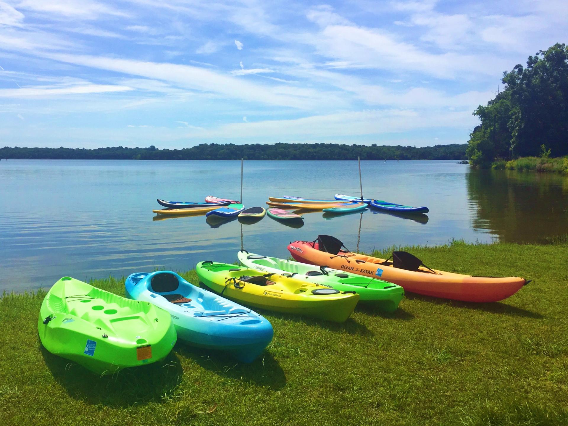 Brightly colored kayaks sit on the grassy shore of a lake. Brightly colored paddleboards are anchored just offshore. The water and sky are both very blue.