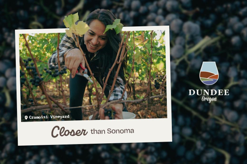 Display ad for Travel Dundee: Closer than Sonoma