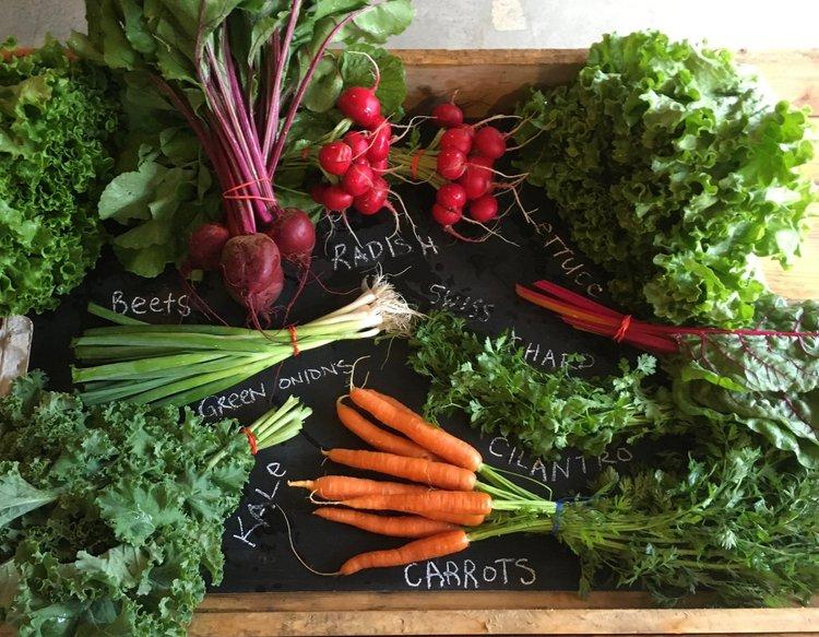 A group of different vegetables on a chalkboard