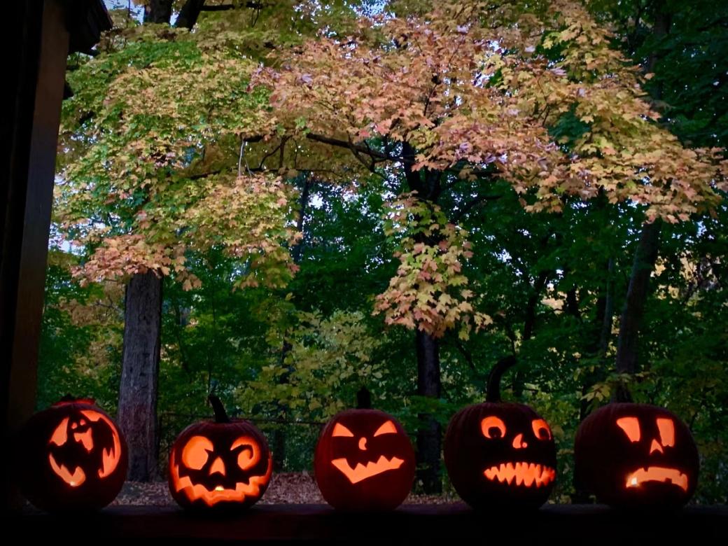 Five candle-lit jack-o-lanterns are arranged in a row in front of trees with leaves turning red and orange.