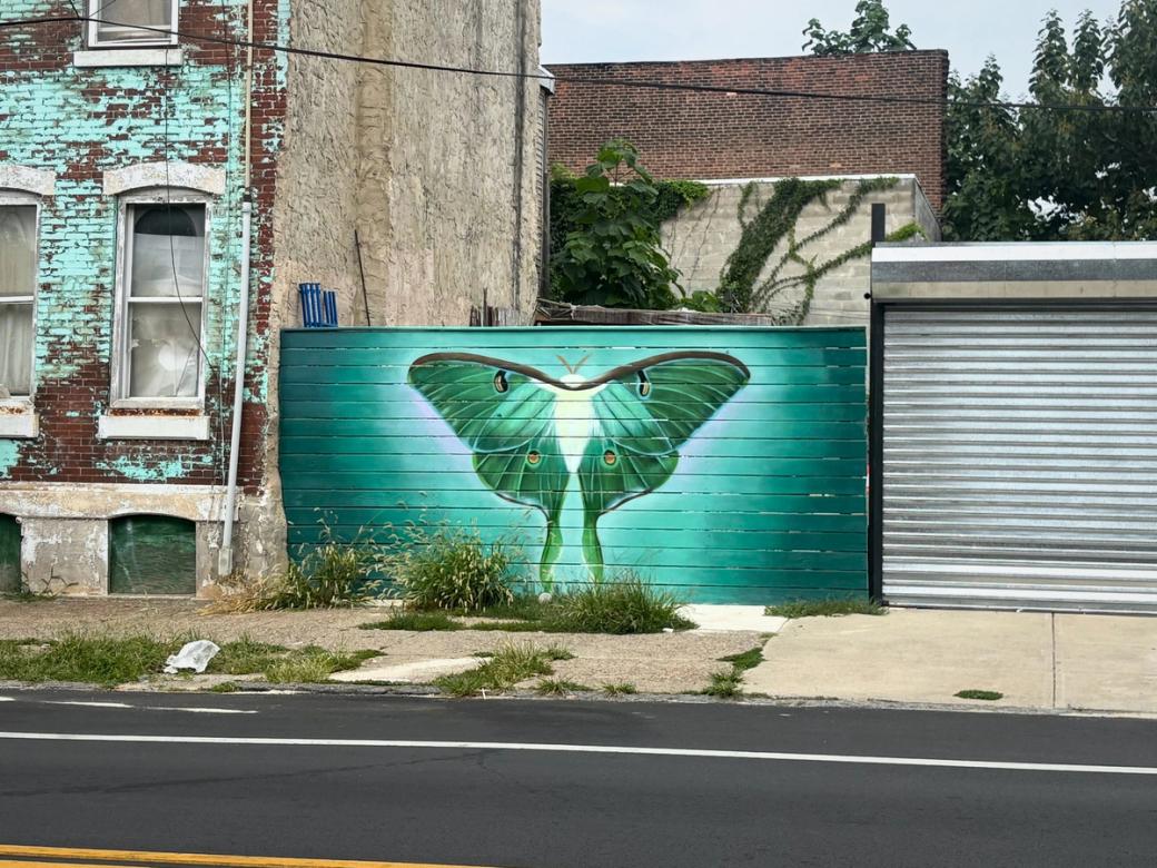 A giant green moth is painted on a wood slatted fence between a metal garage and a rowhome with light blue paint chipping off the bricks.